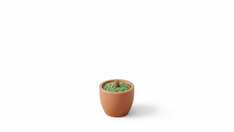 A seed sprouting in a pot