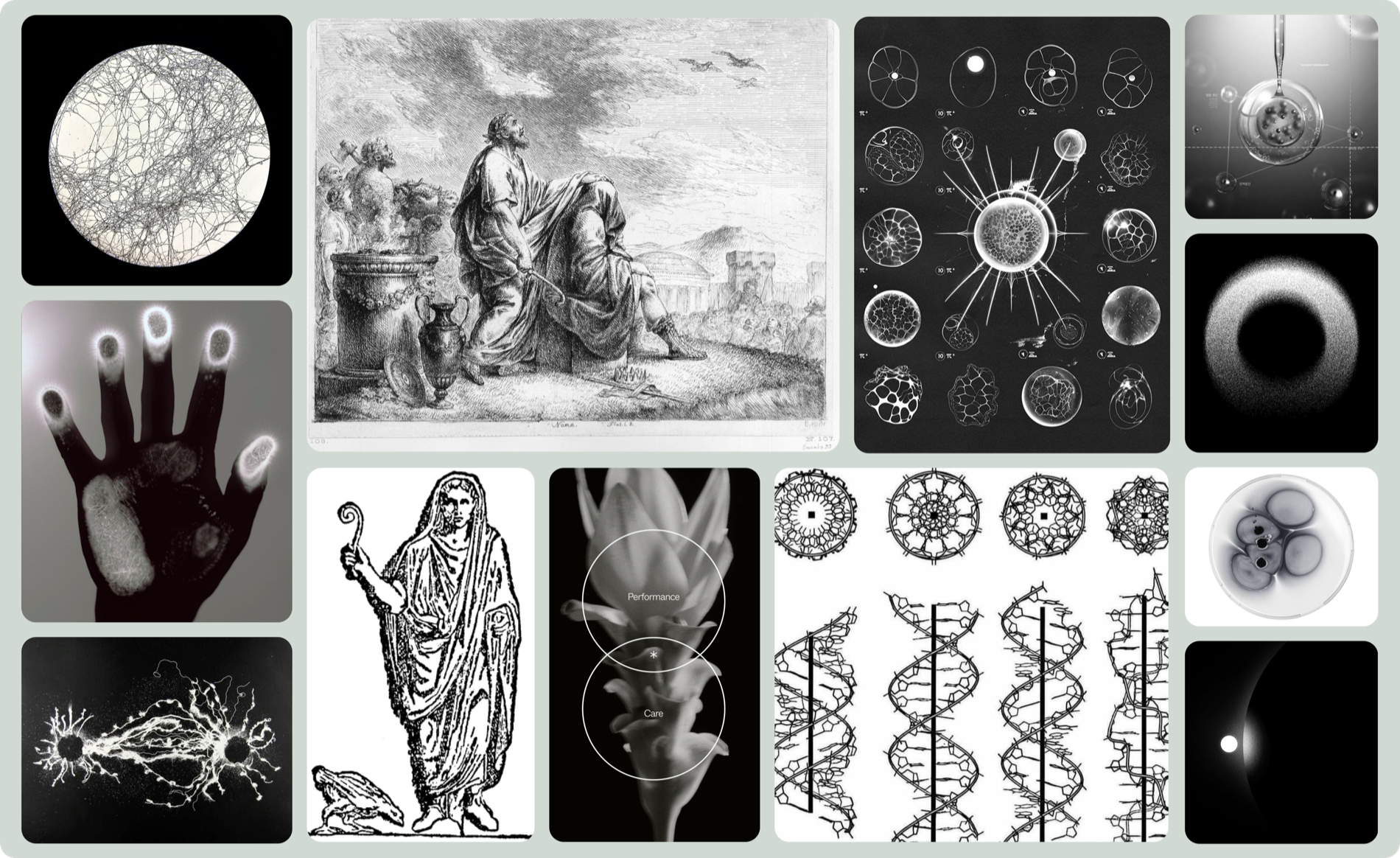 The moodboard, a tight edit of celestial and biological reference pins